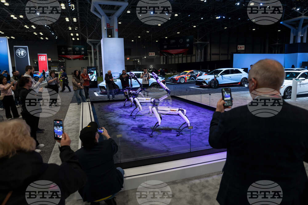 NY Auto Show Hyundai