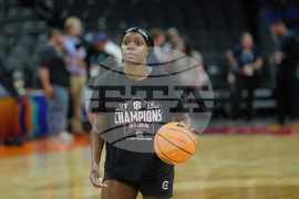 NCAA South Carolina Basketball