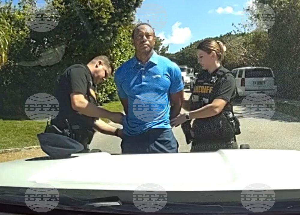 Tiger Woods Crash Golf