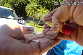 Tiger Woods Crash Golf