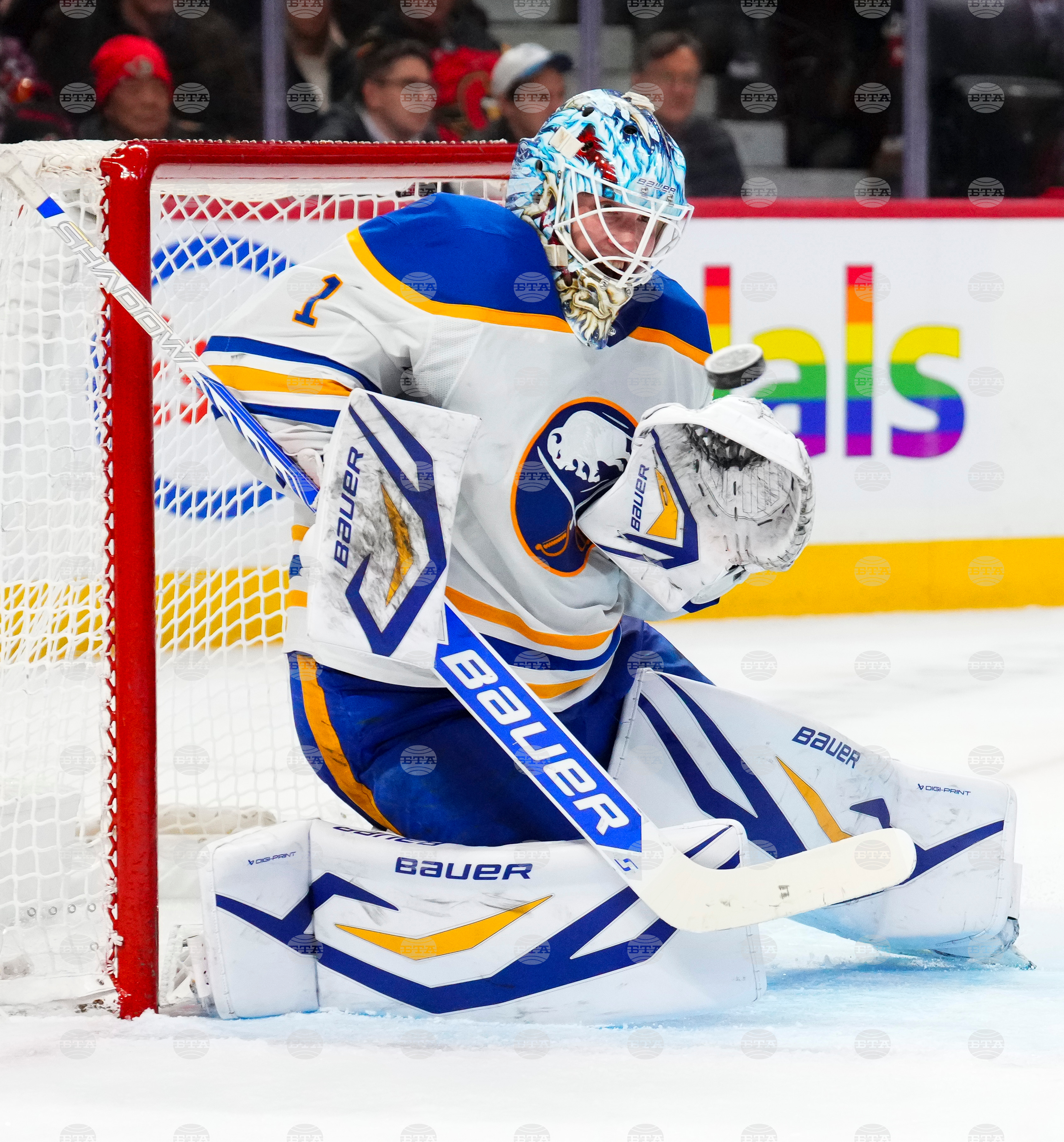 Sabres Senators Hockey