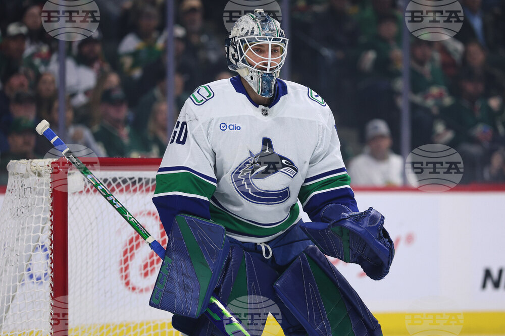 Canucks Wild Hockey