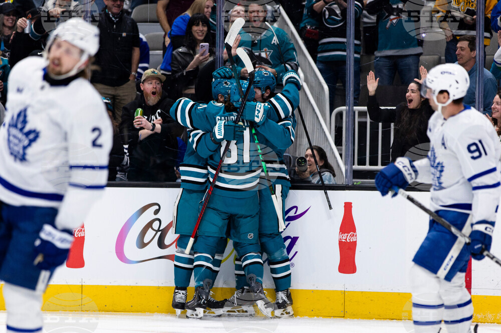 Maple Leafs Sharks Hockey