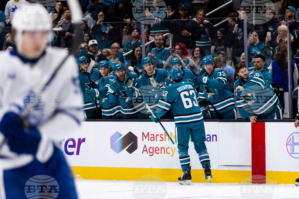 Maple Leafs Sharks Hockey