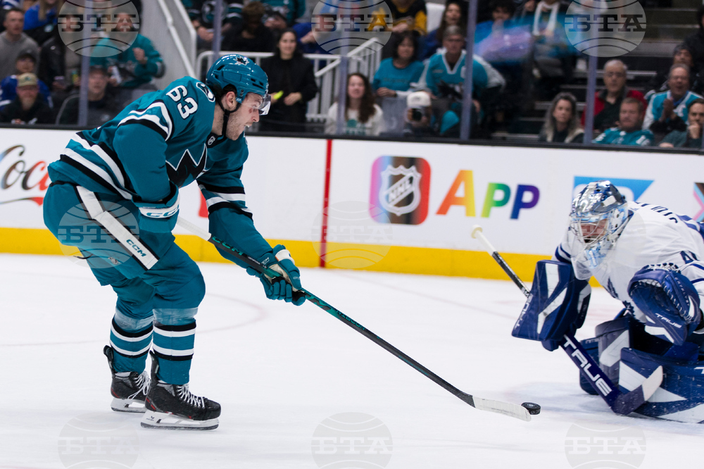 Maple Leafs Sharks Hockey