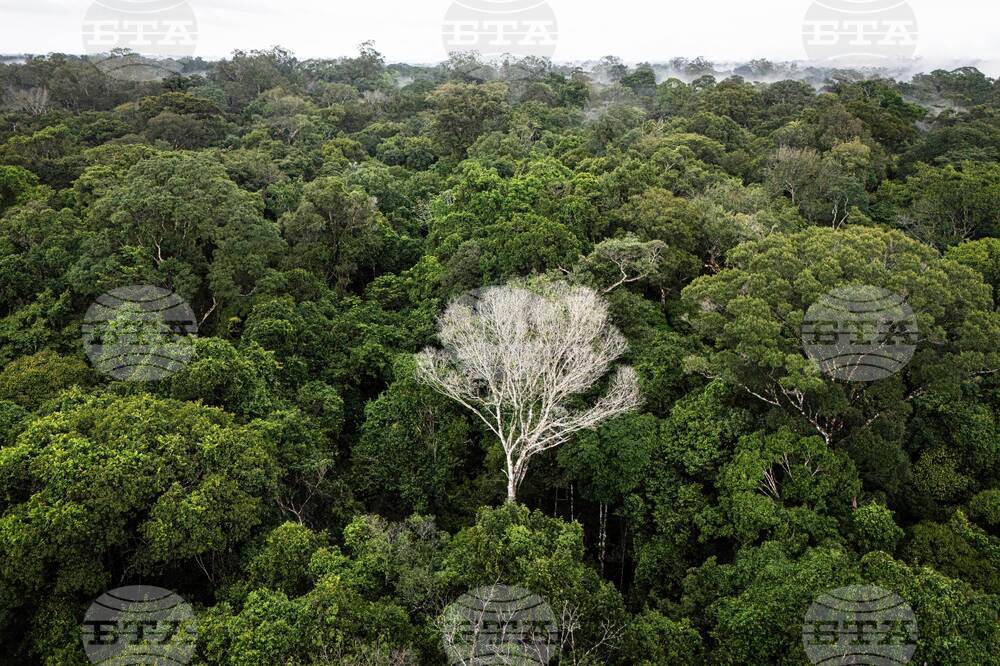 Pictures of the Week Latin America and Caribbean Photo Gallery