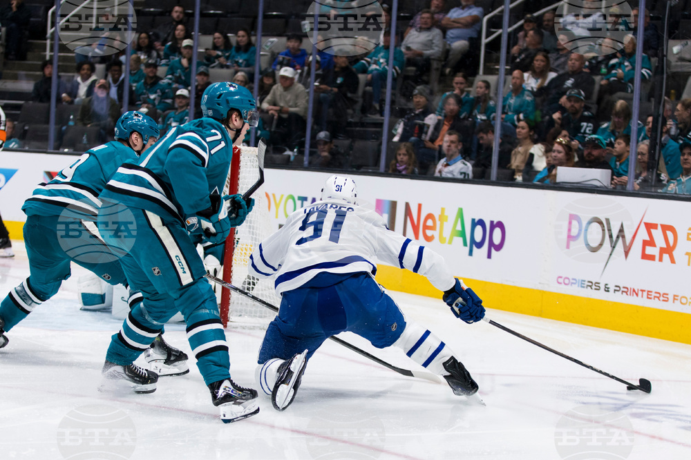 Maple Leafs Sharks Hockey