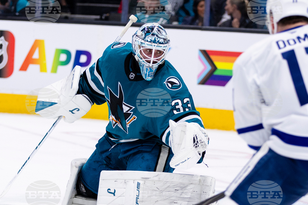 Maple Leafs Sharks Hockey