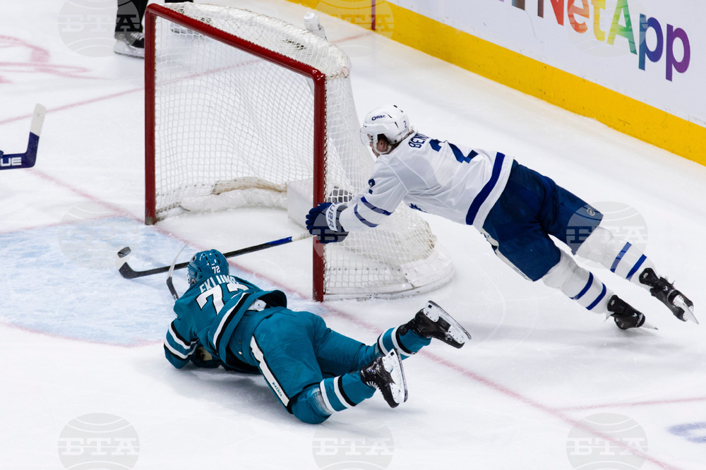 Maple Leafs Sharks Hockey