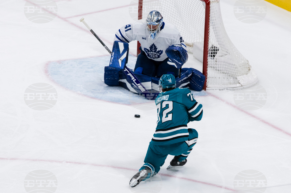 Maple Leafs Sharks Hockey