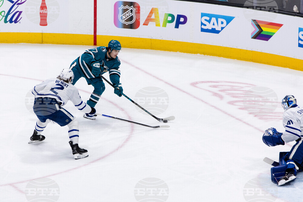 Maple Leafs Sharks Hockey