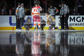 Flames Golden Knights Hockey