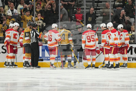 Flames Golden Knights Hockey