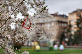 Пролетна украса в столицата