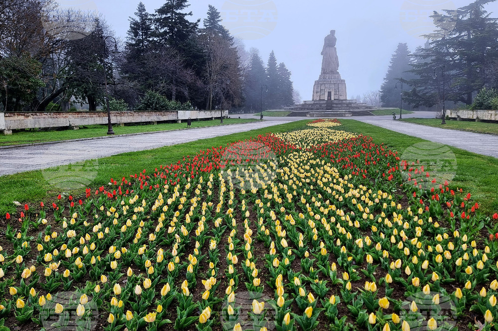 Варна - Морска градина - пролет