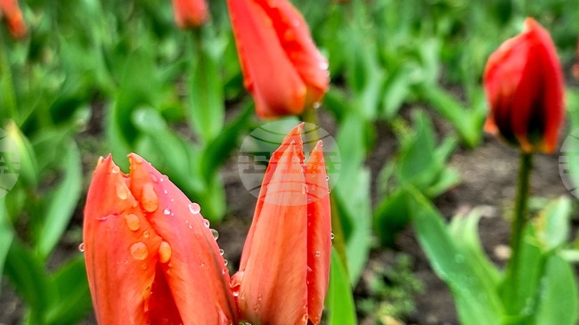 Прогноза за времето 