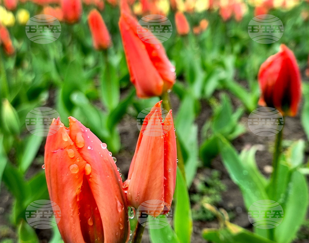 Прогноза за времето 