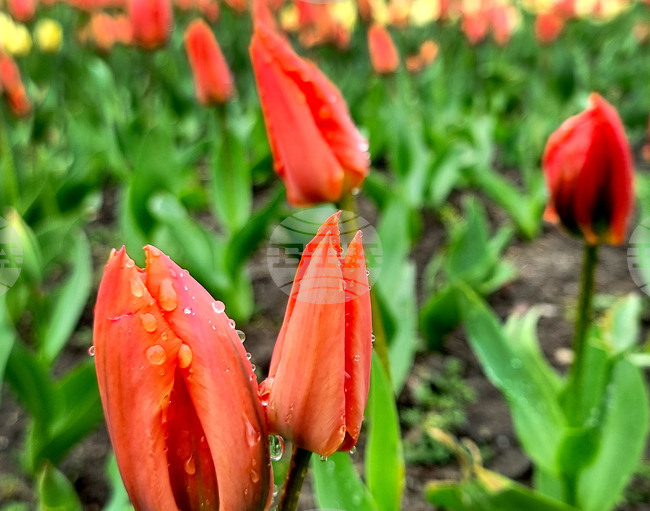 Прогноза за времето 