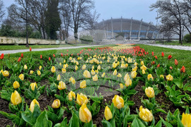 Варна - Морска градина - пролет