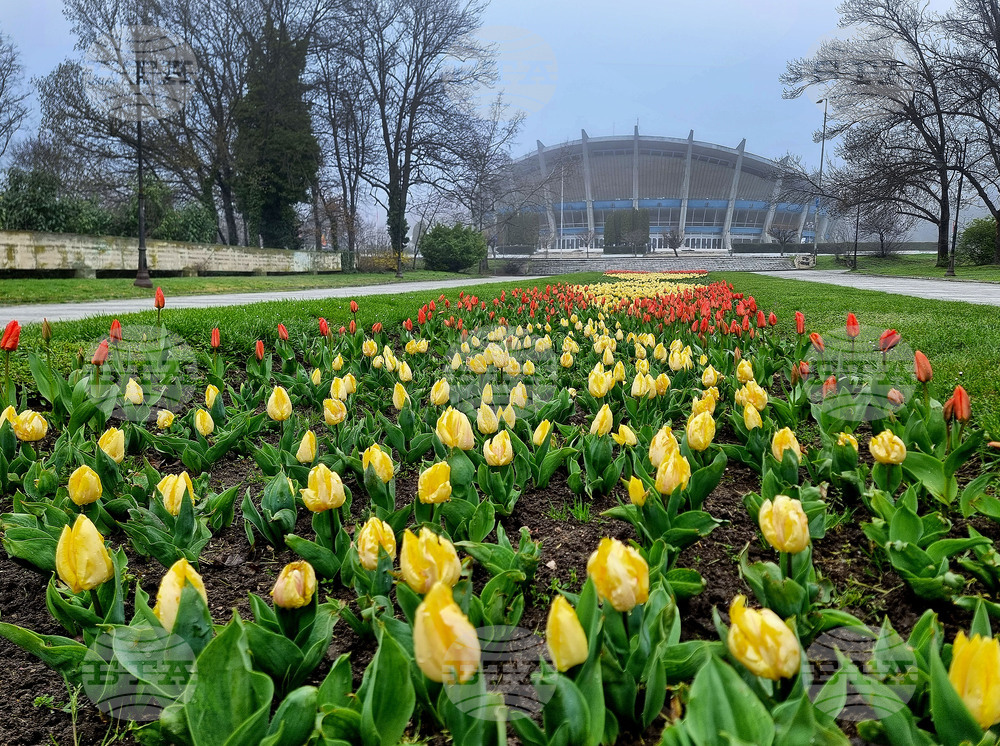 Варна - Морска градина - пролет