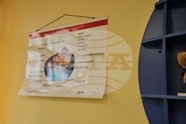 Русе - Спортно училище - STEM център