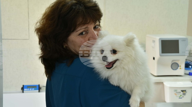 БВС: Накъде се насочва ветеринарномедицинската практика в България