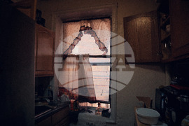 Mamdani Landlords