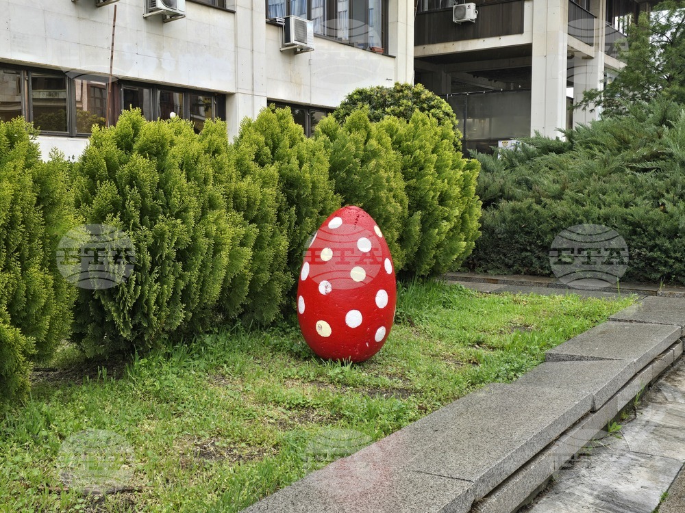 Видин - великденска украса