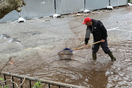 Село Бачково - наводнение