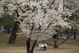 China Daily Life