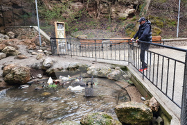 Радомир - парк „Бучалото“ - редки птици