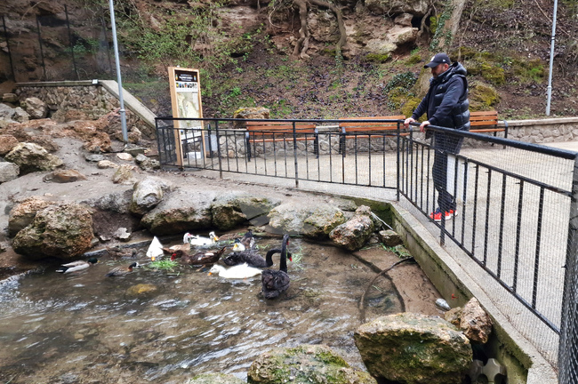 Радомир - парк „Бучалото“ - редки птици