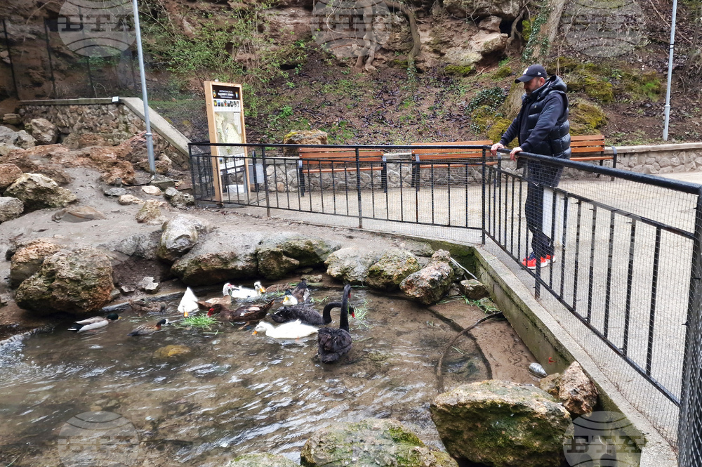 Радомир - парк „Бучалото“ - редки птици