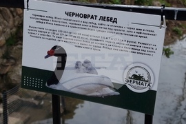 Радомир - парк „Бучалото“ - редки птици