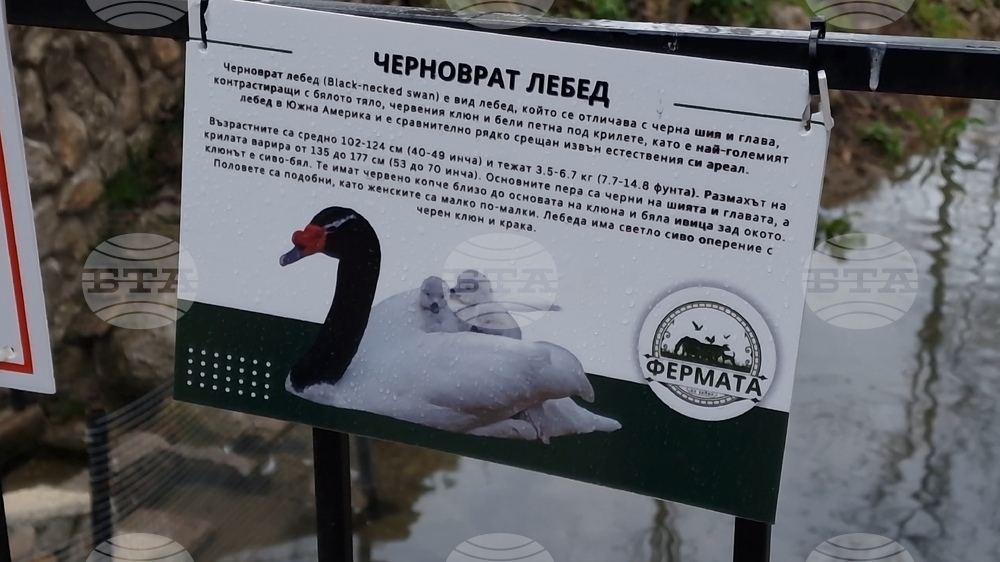 Радомир - парк „Бучалото“ - редки птици