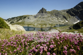 Giro d’Italia (Джиро д'Италия") - Етап 3: Пловдив - София