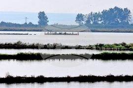 Джиро Д‘Италия (Giro d’Italia) в България - етап 1: маршрутът оживява през обектива на БТА