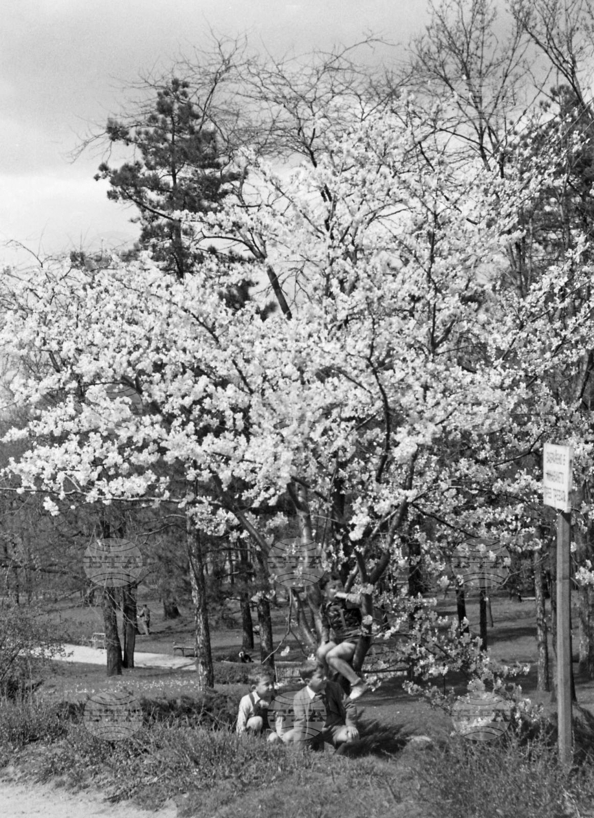 Разходка в парка