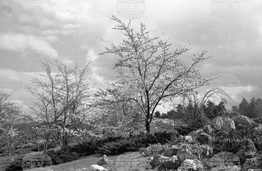 Разходка в парка