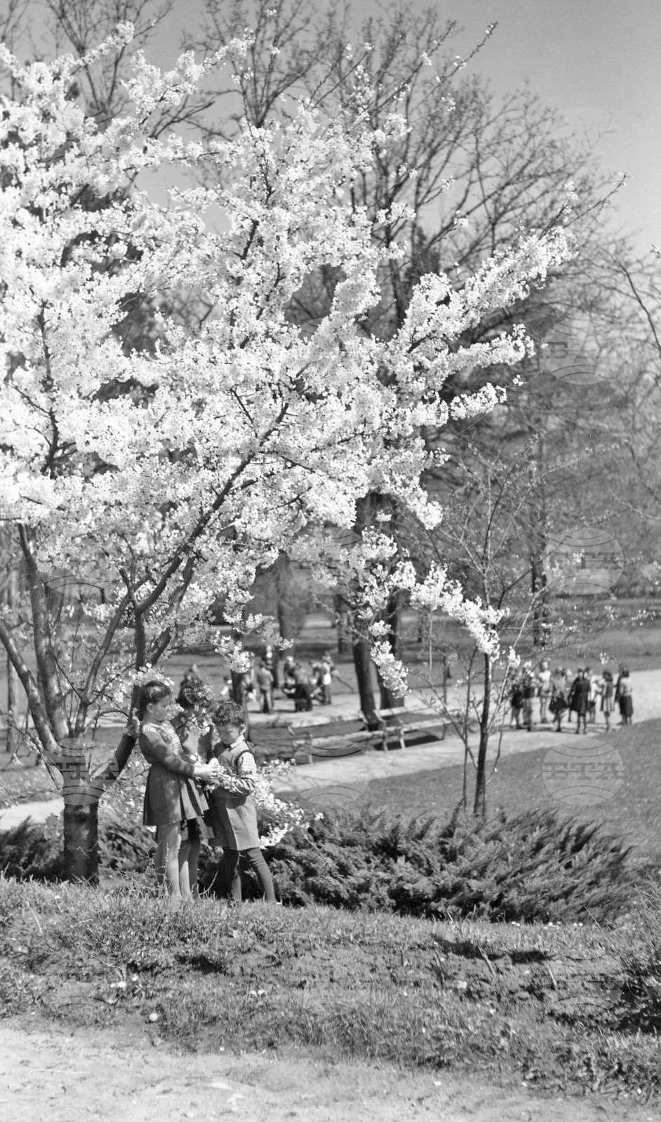 Разходка в парка