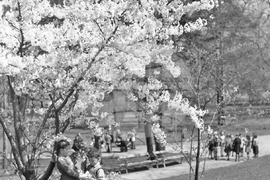 Разходка в парка