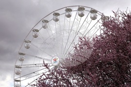 "Sun Fest Sofia" - откриване