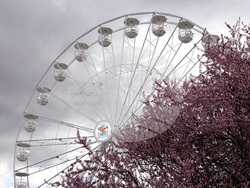 "Sun Fest Sofia" - откриване