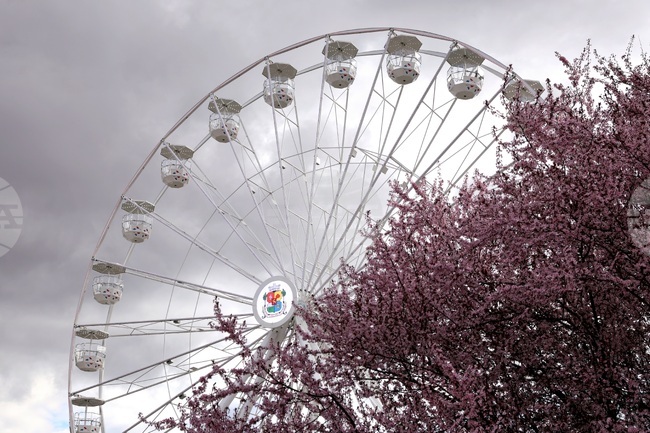 Най-високото виенско колело в България беше открито в Княжеската градина в София 