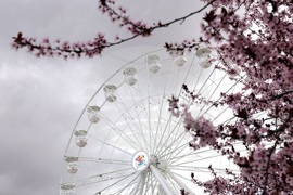 "Sun Fest Sofia" - откриване