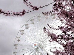 "Sun Fest Sofia" - откриване