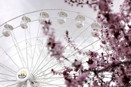 "Sun Fest Sofia" - откриване