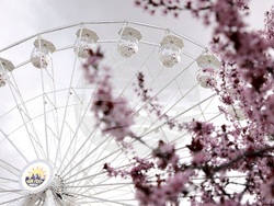 "Sun Fest Sofia" - откриване