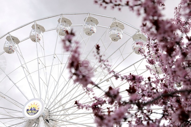 "Sun Fest Sofia" - откриване