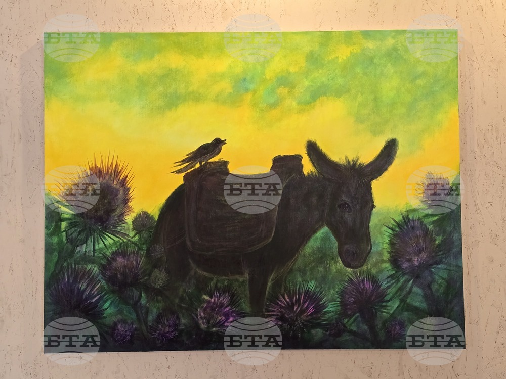 Пловдив - Ангел Каравланов - изложба